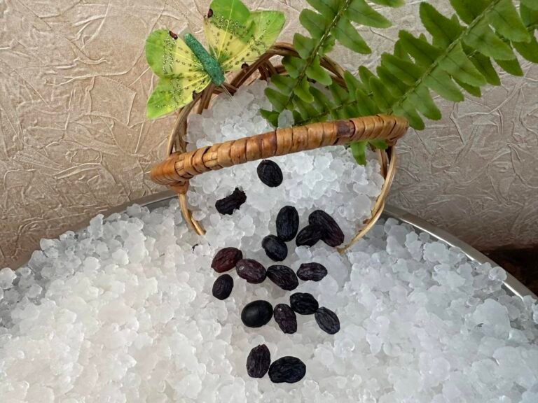 изображение_viber_2026-04-07_10-47-10-131